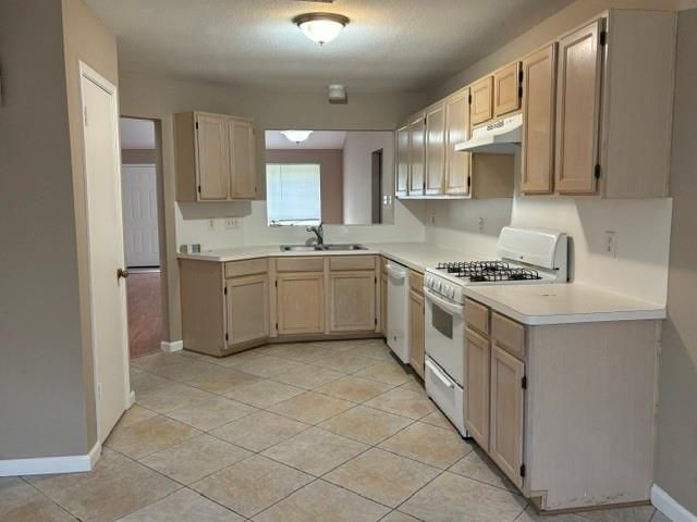 7854 Yellow Pine Drive, Houston, TX 77040