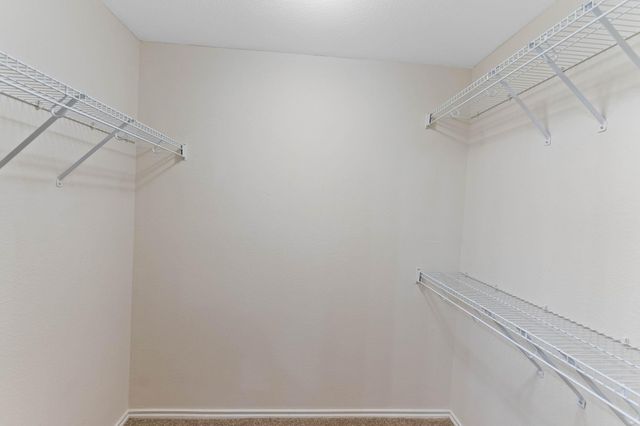 292 Housefinch LOOP, Leander, TX 78641