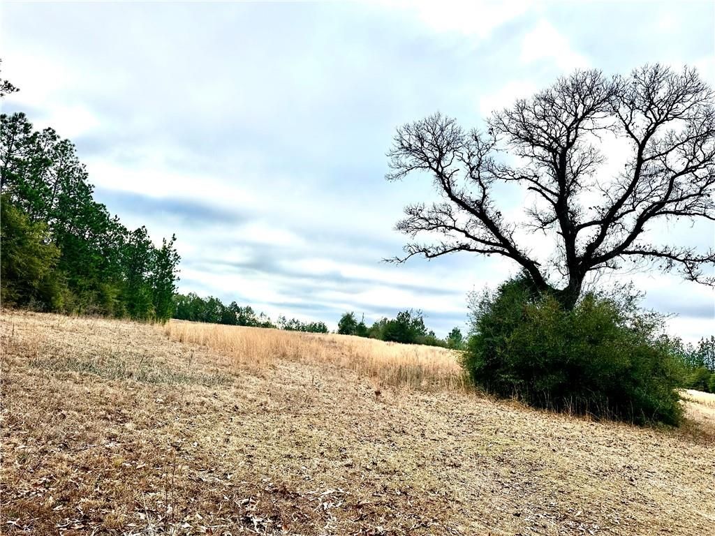 4699 Lambert Cemetery Road, Citronelle, AL 36522 — photo 2