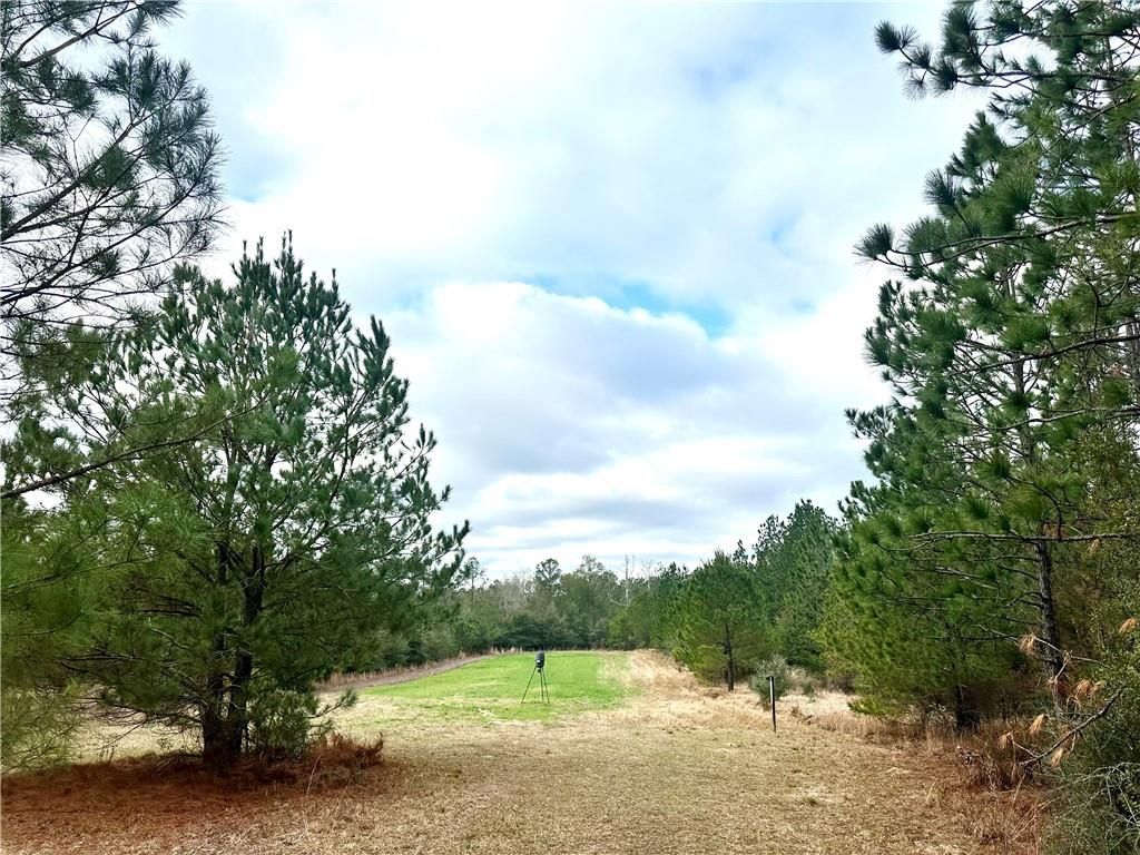 4699 Lambert Cemetery Road, Citronelle, AL 36522 — photo 3