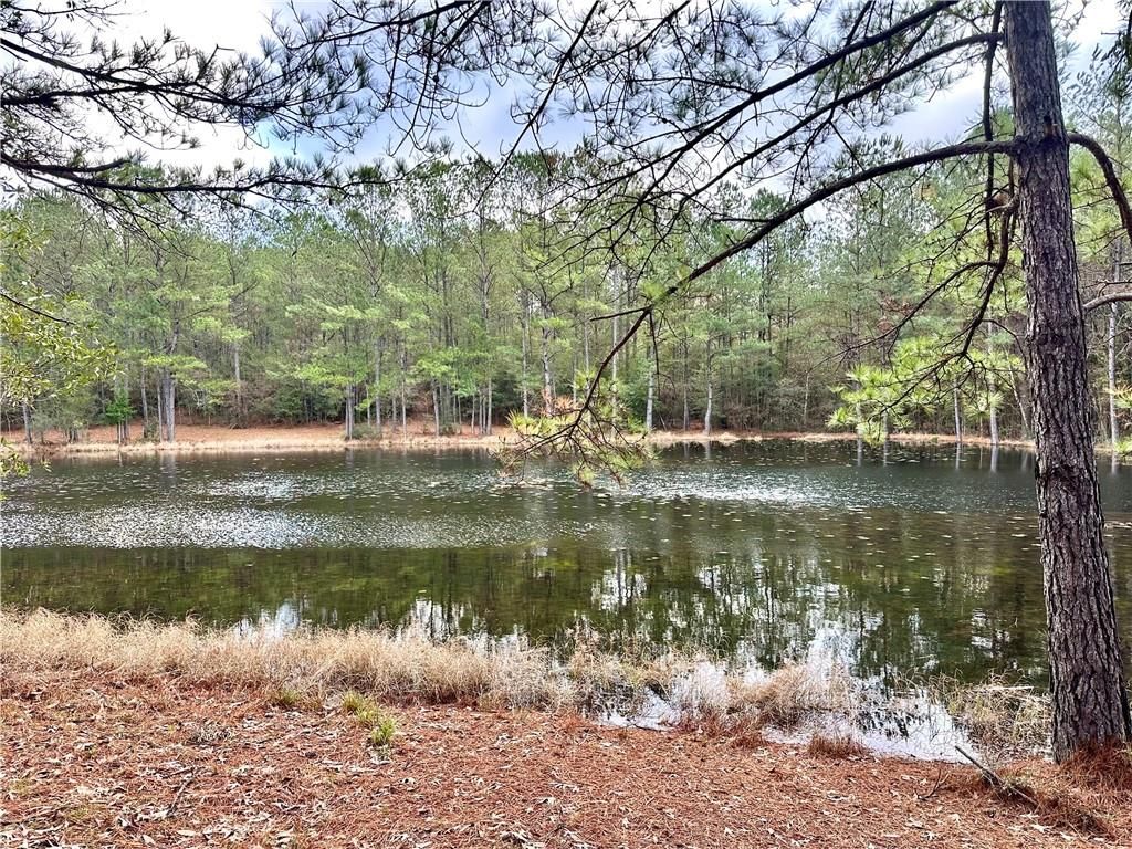 4699 Lambert Cemetery Road, Citronelle, AL 36522 — photo 4