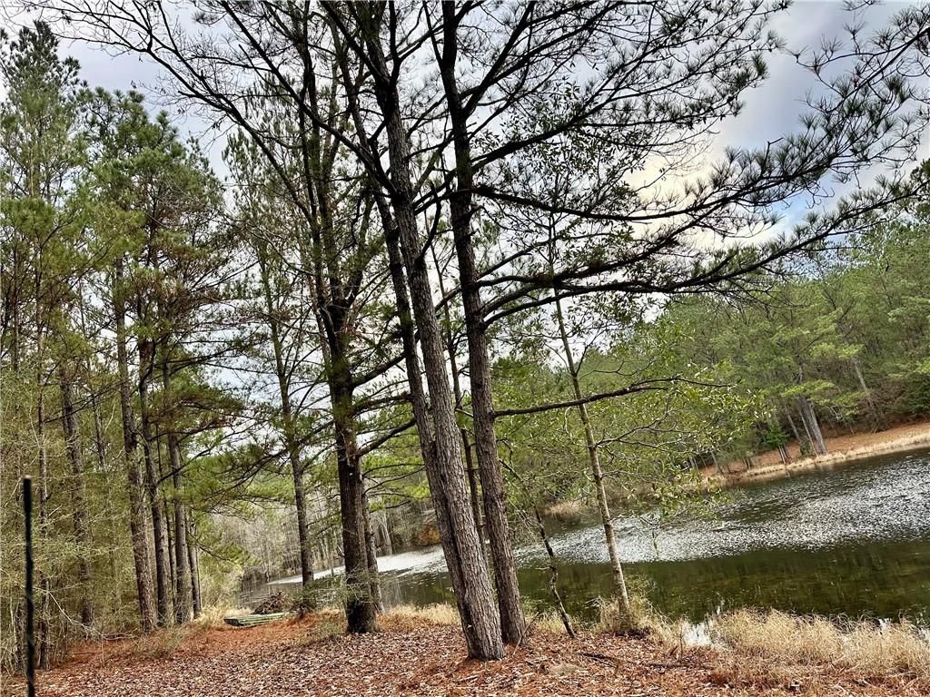 4699 Lambert Cemetery Road, Citronelle, AL 36522 — photo 5
