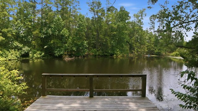223 Pin Oak Lane, Magnolia, TX 77354