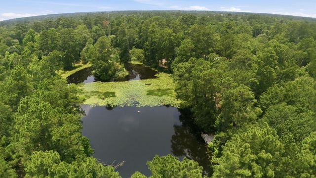 223 Pin Oak Lane, Magnolia, TX 77354
