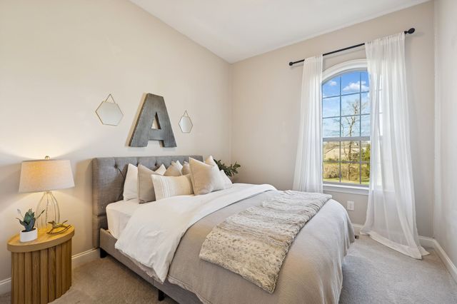 4205 Buckeye Ln, Arrington, TN 37014