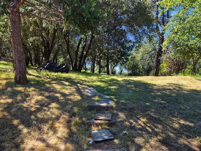 9568 Sheep Ranch Rd, Mountain Ranch, CA 95246