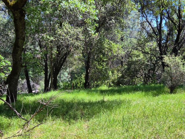 9568 Sheep Ranch Rd, Mountain Ranch, CA 95246