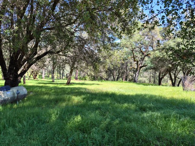 9568 Sheep Ranch Rd, Mountain Ranch, CA 95246