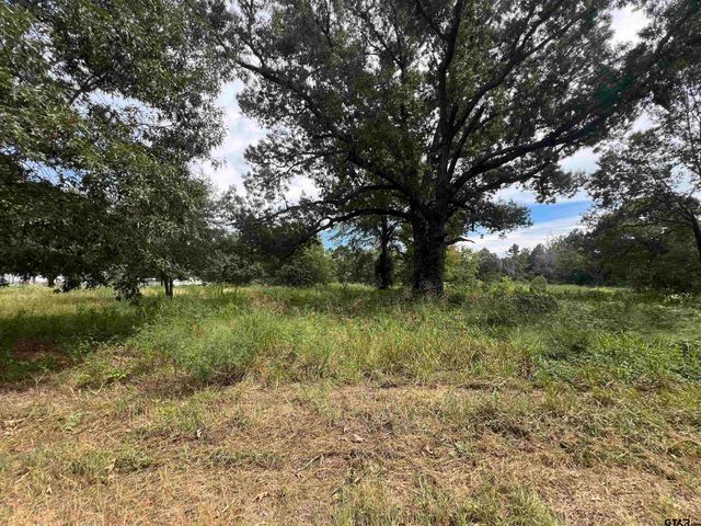 14694 C R 424, Lindale, TX 75771