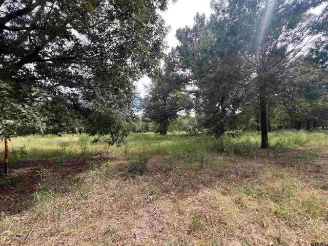 14694 C R 424, Lindale, TX 75771