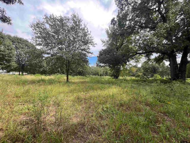 14694 C R 424, Lindale, TX 75771