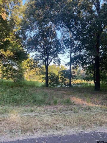 14694 C R 424, Lindale, TX 75771
