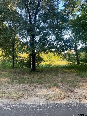 14694 C R 424, Lindale, TX 75771