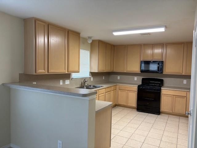 3002 Tall Tree Ridge Way, Spring, TX 77389