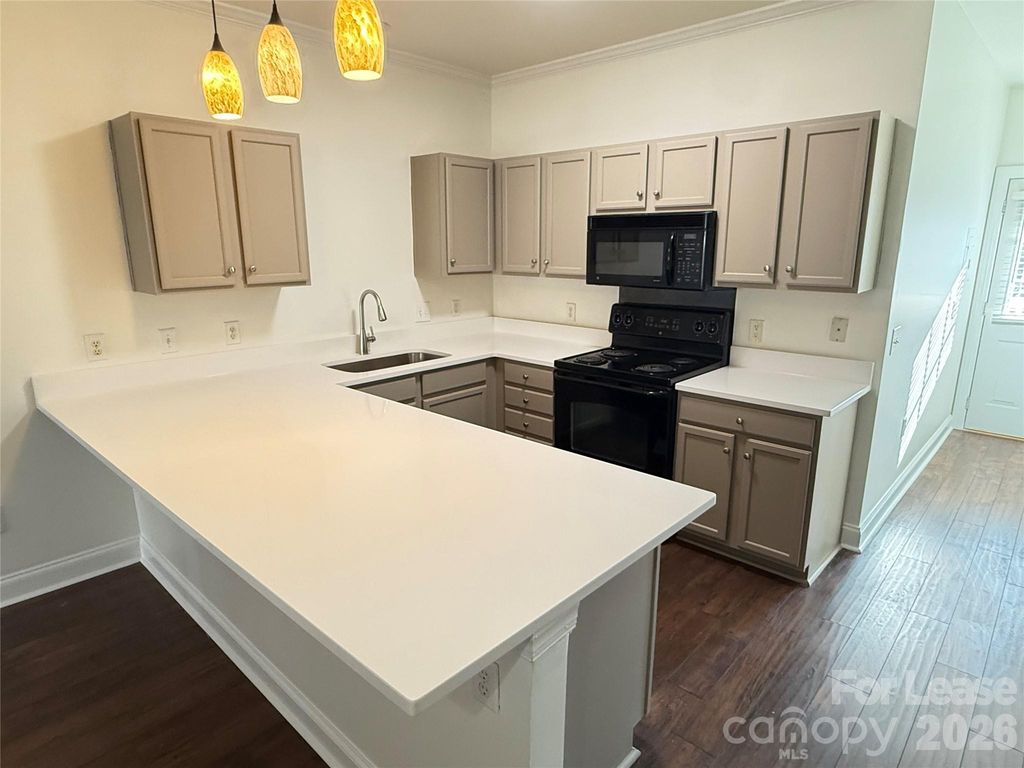 19923 Weeping Water Run, Cornelius, NC 28031