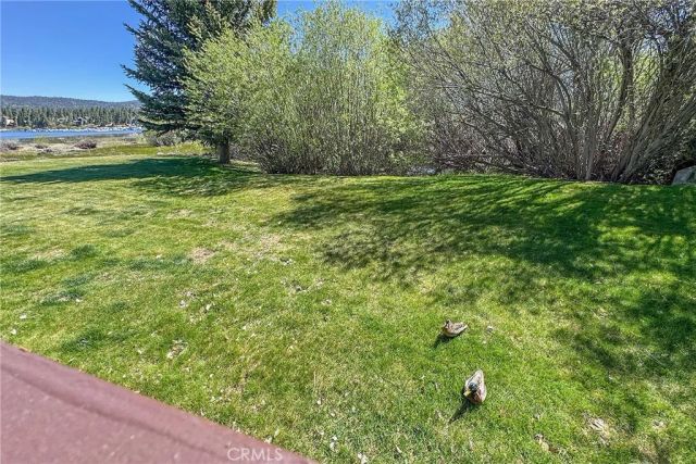 737 Cienega D, Big Bear Lake, CA 92315