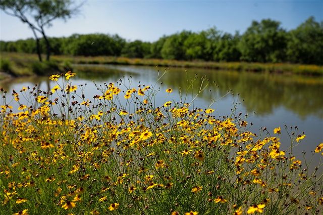 141 S Private Road 1026, Kingsville, TX 78363