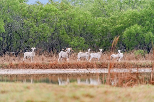 141 S Private Road 1026, Kingsville, TX 78363