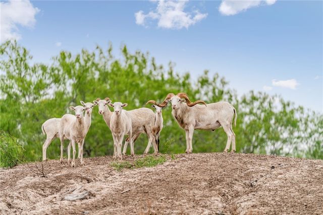 141 S Private Road 1026, Kingsville, TX 78363