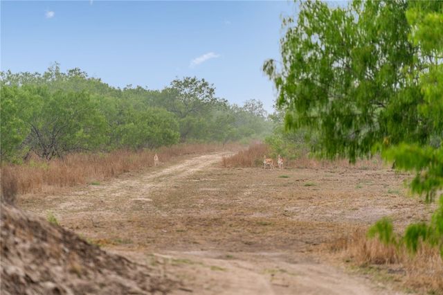 141 S Private Road 1026, Kingsville, TX 78363