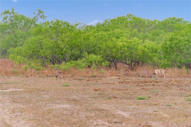 141 S Private Road 1026, Kingsville, TX 78363