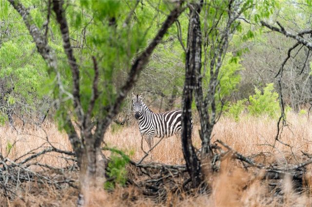 141 S Private Road 1026, Kingsville, TX 78363