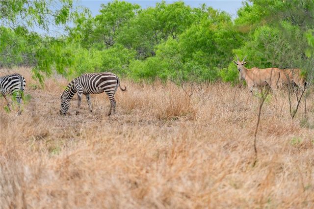 141 S Private Road 1026, Kingsville, TX 78363