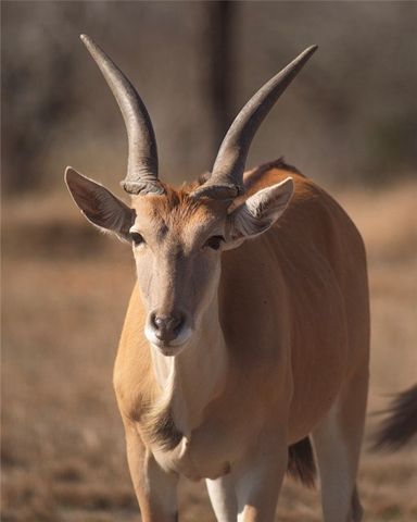 141 S Private Road 1026, Kingsville, TX 78363