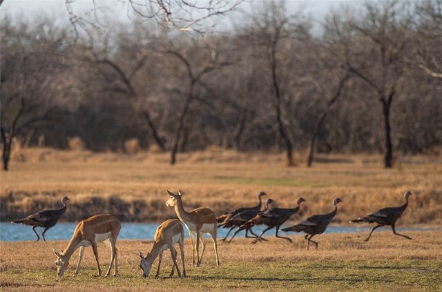 141 S Private Road 1026, Kingsville, TX 78363