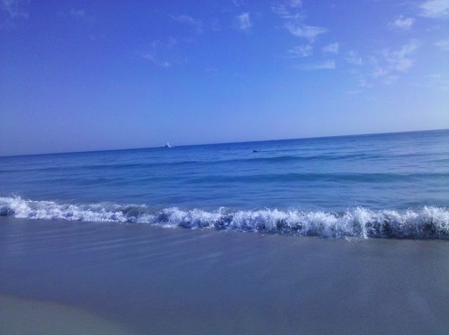 2001 Marina Isle Way 203, Jupiter, FL 33477