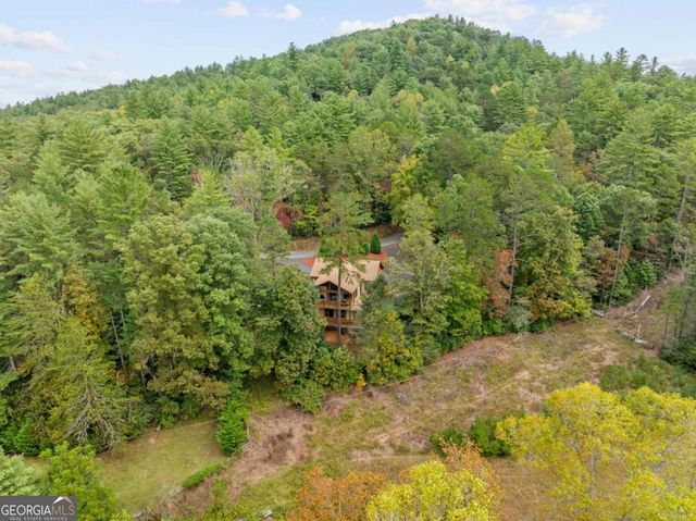 292 Silver Fox Trail, Blue Ridge, GA 30513