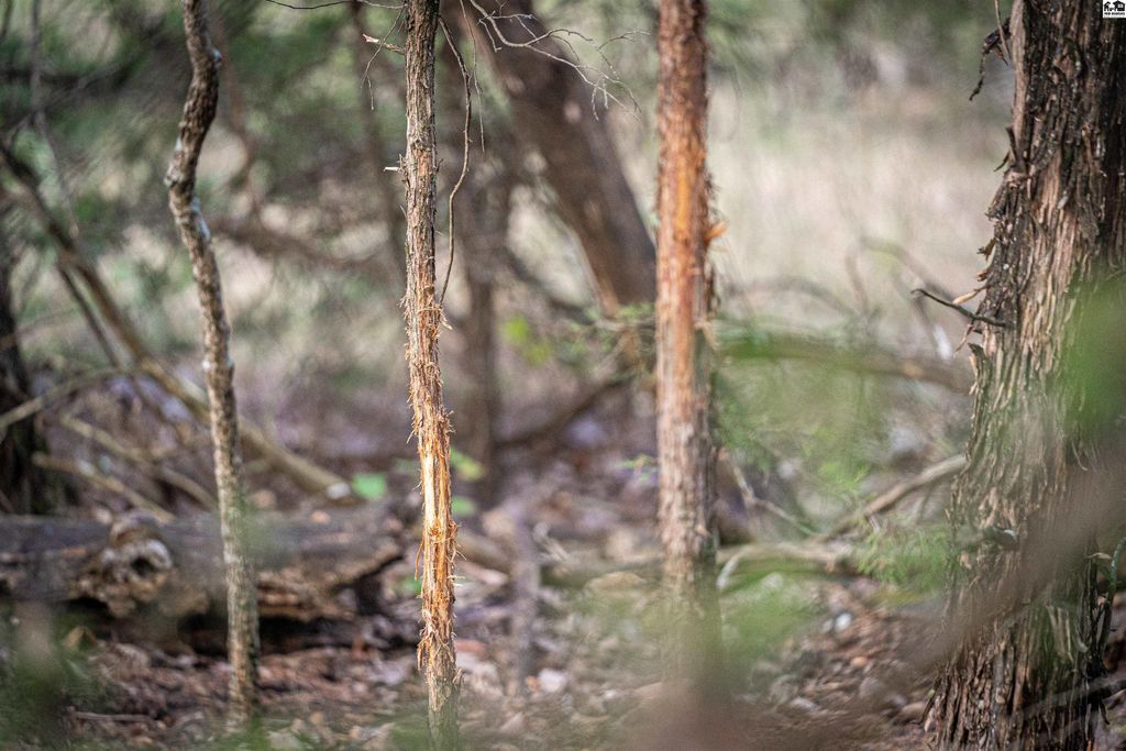 5020 N Table Mound Rd