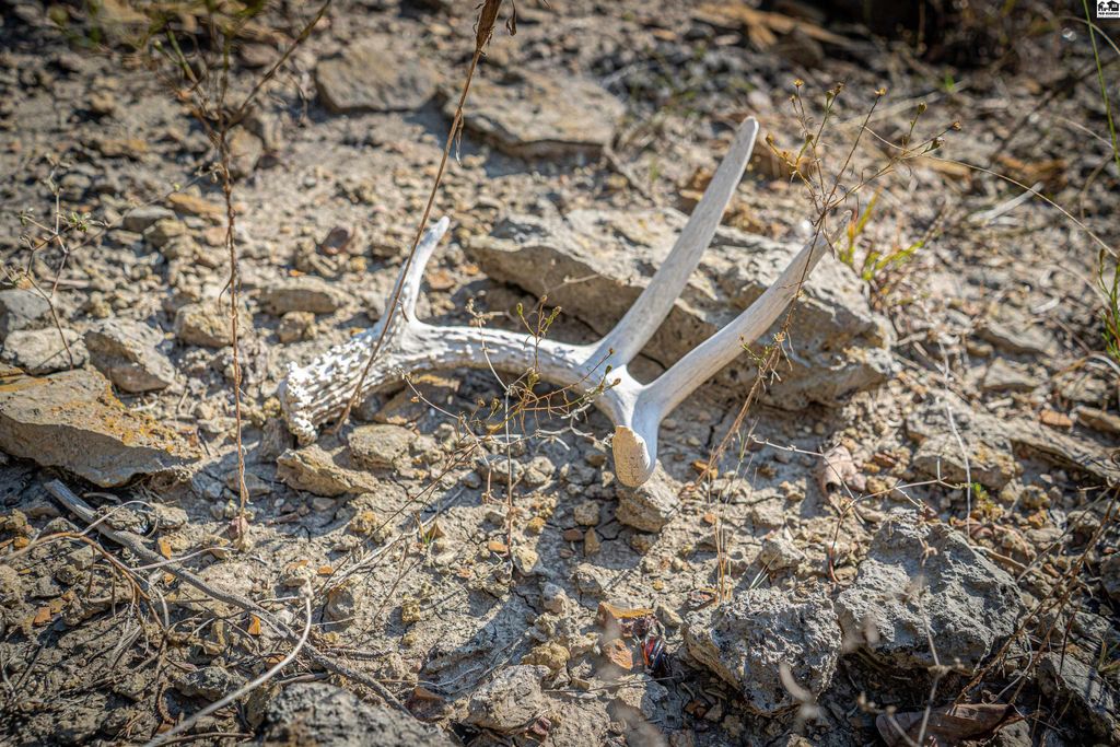 5020 N Table Mound Rd