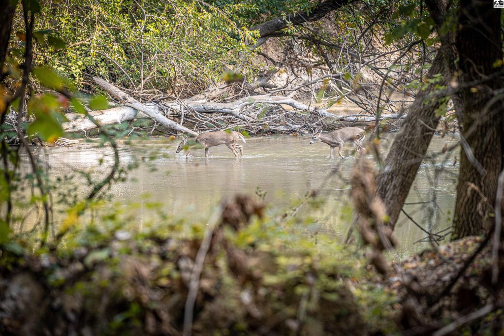 5020 N Table Mound Rd