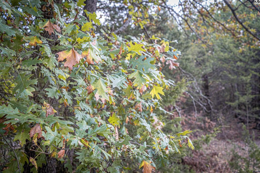 5020 N Table Mound Rd