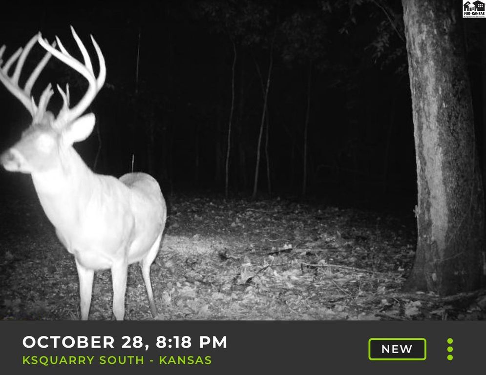 5020 N Table Mound Rd