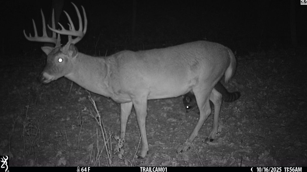 5020 N Table Mound Rd