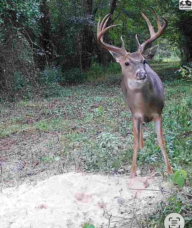 5020 N Table Mound Rd