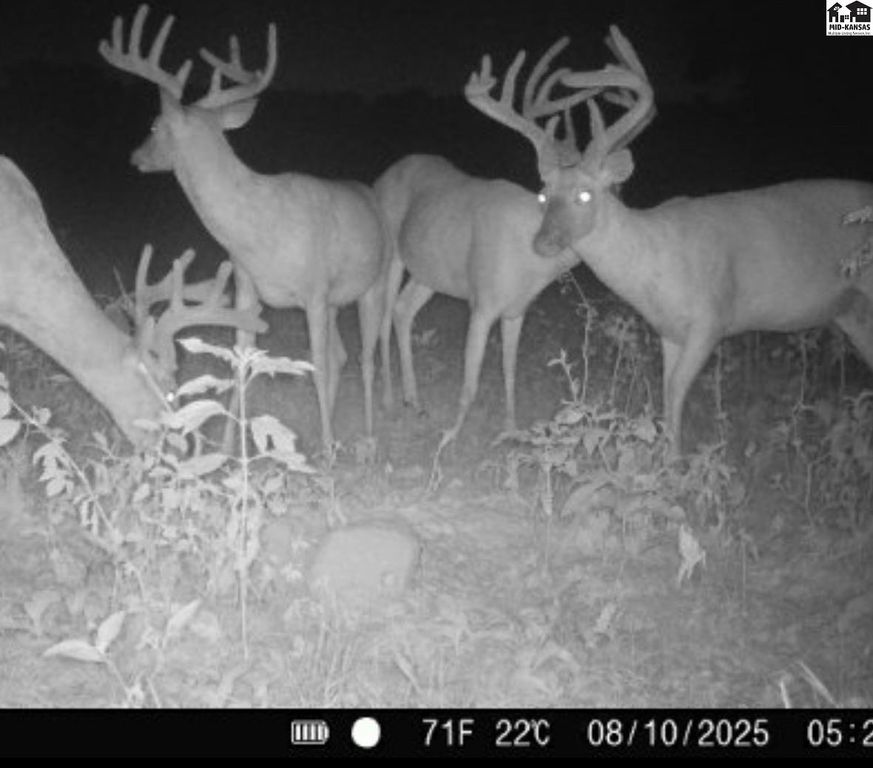 5020 N Table Mound Rd