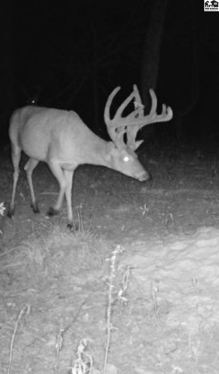 5020 N Table Mound Rd