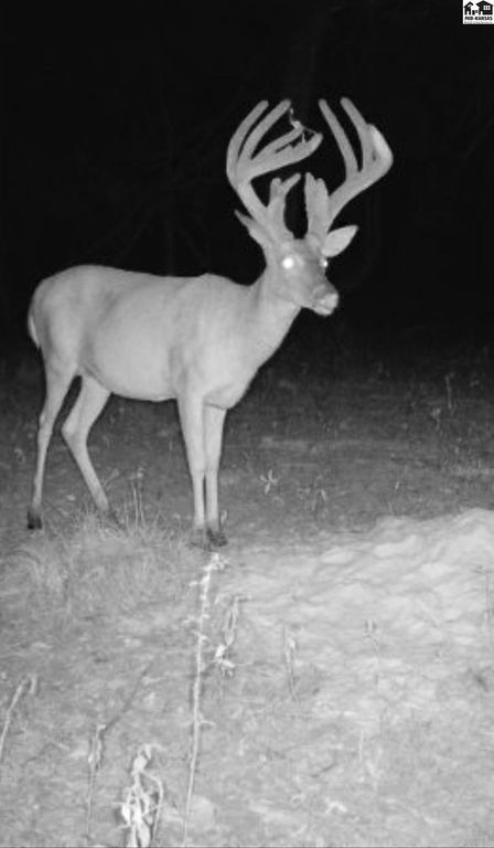 5020 N Table Mound Rd