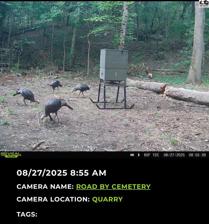 5020 N Table Mound Rd