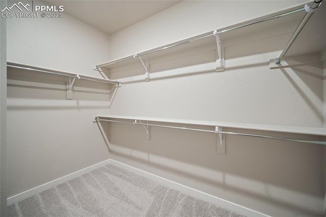 9156 Golden Buffs Drive, Colorado Springs, CO 80925