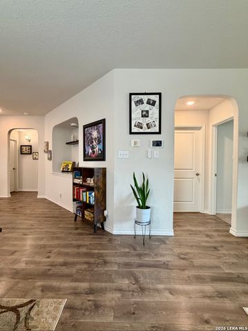 22118 Backspin, San Antonio, TX 78261