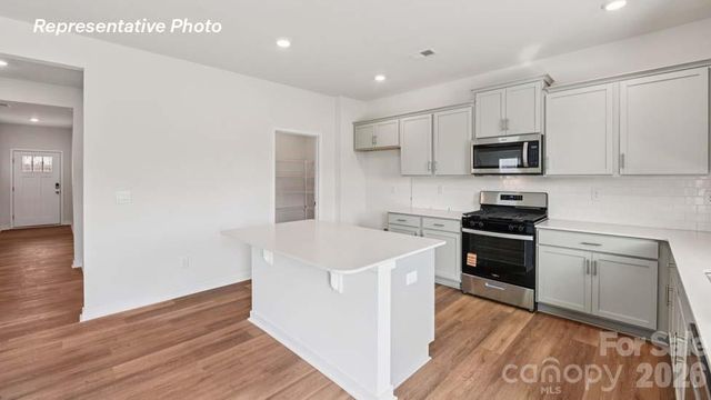 15003 Murrelet Way, Charlotte, NC 28215