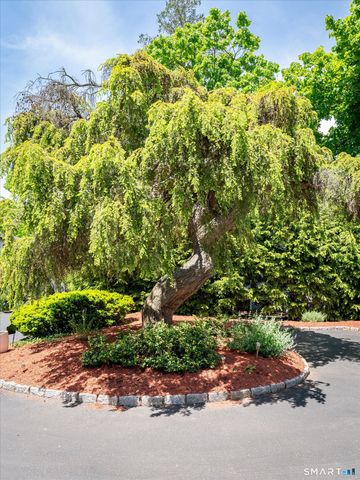 12 Urban Street, Stamford, CT 06905