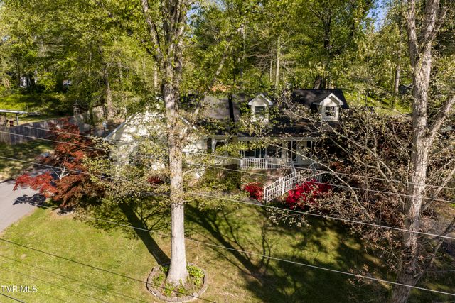 802 Chestnut Avenue, Erwin, TN 37650