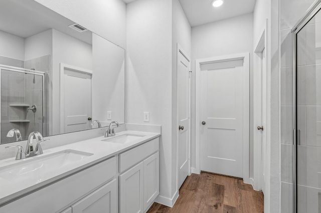 29222 Dandelion Sky Drive, Waller, TX 77484