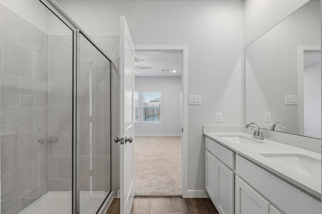 29222 Dandelion Sky Drive, Waller, TX 77484