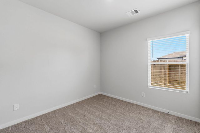 29222 Dandelion Sky Drive, Waller, TX 77484